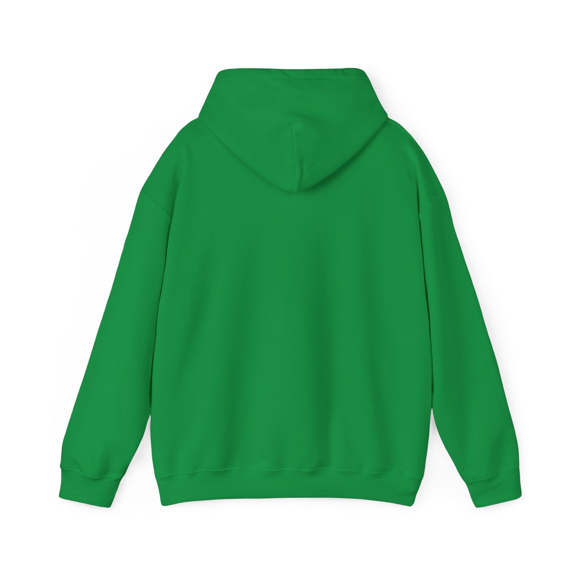 Panna Hooded sweatshirt image for web green back